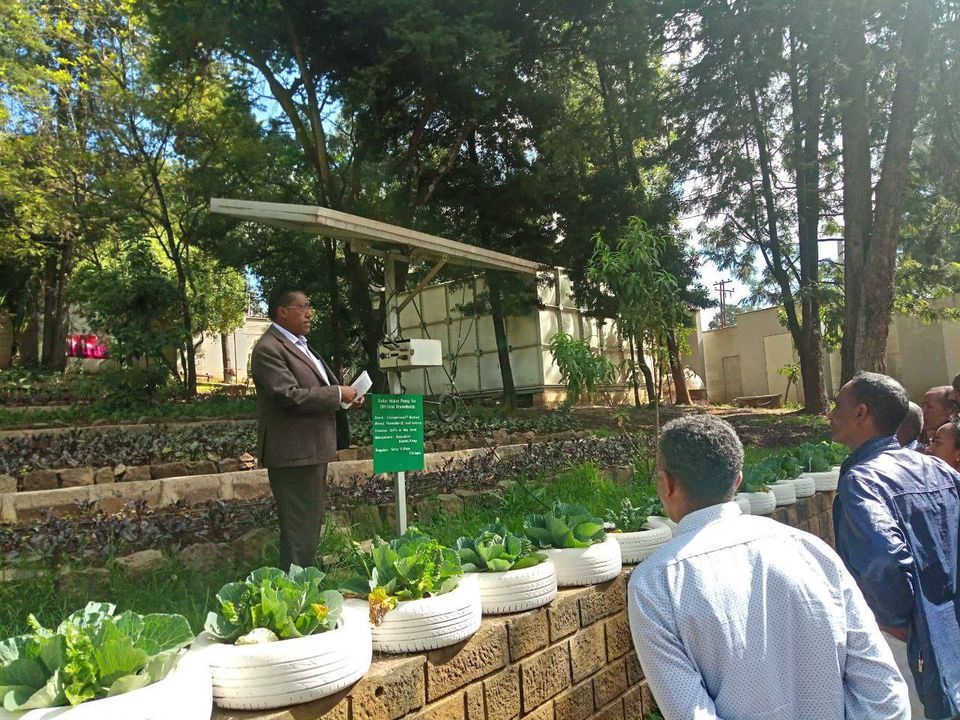 Experience sharing visit at 4 kilo palace urban agriculture site.
